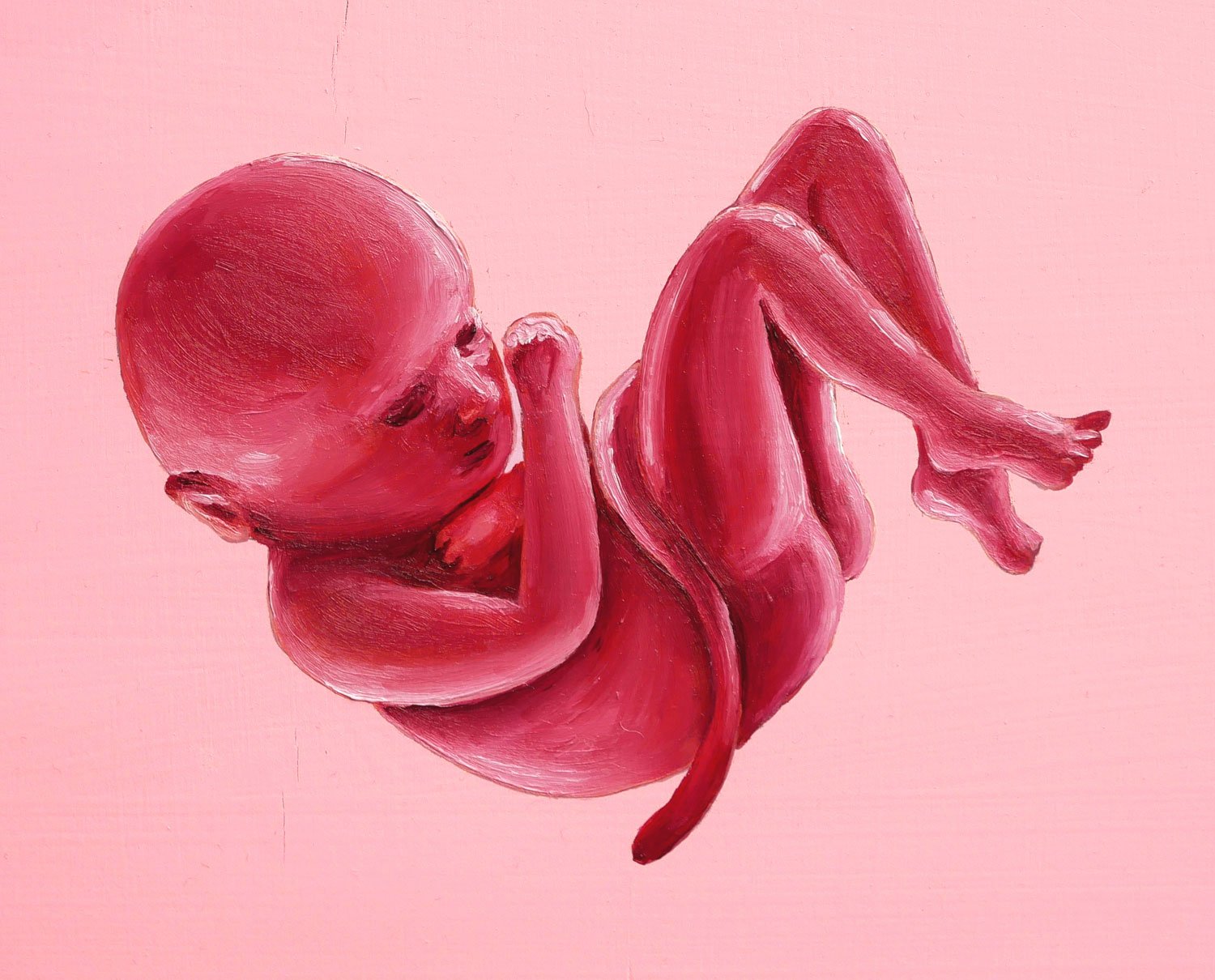 Light pink oil painting of a fetus.